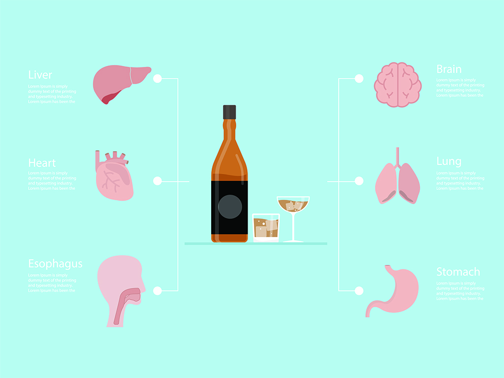 Alcohol Withdrawal Timeline - How Alcohol Affects Body