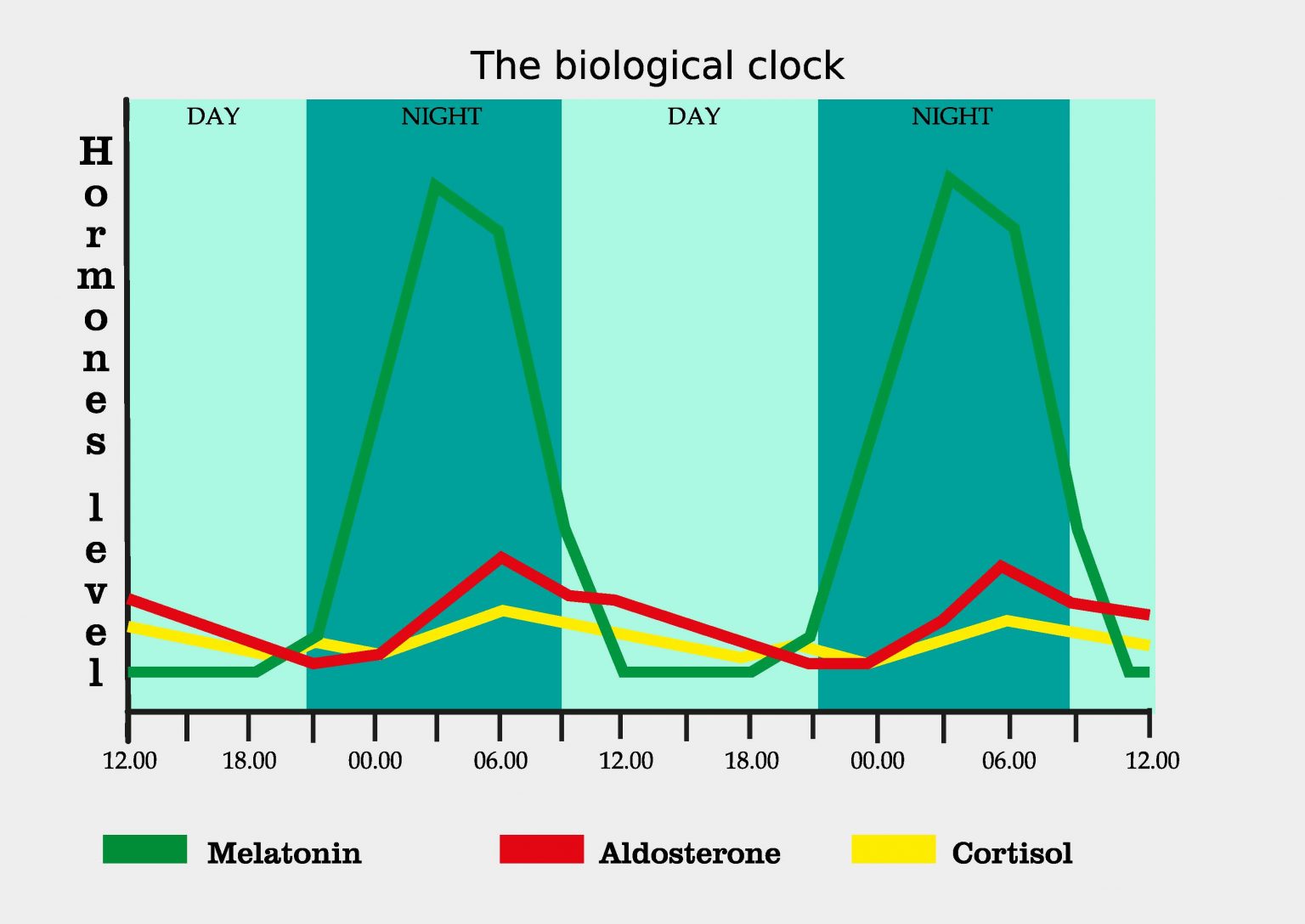 Melatonin Overdose: Symptoms, Risks, Safe Dosage & What to Do