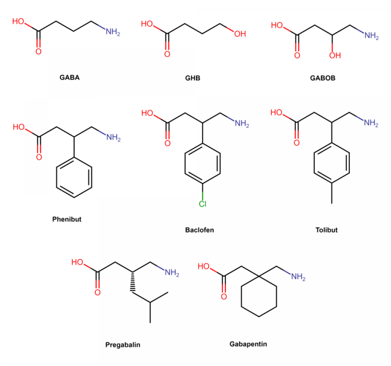 Experts Share What to Know About Phenibut Sprout Health Group